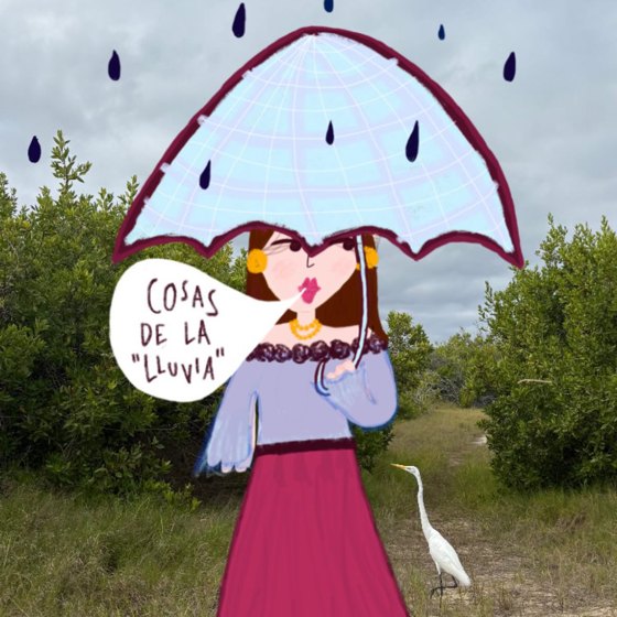 Cosas de la lluvia